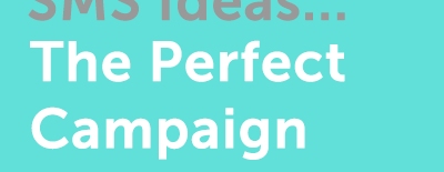 sms-ideas-the-perfect-campaign