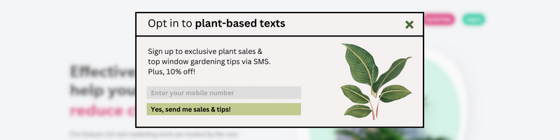 Webform for SMS opt-in