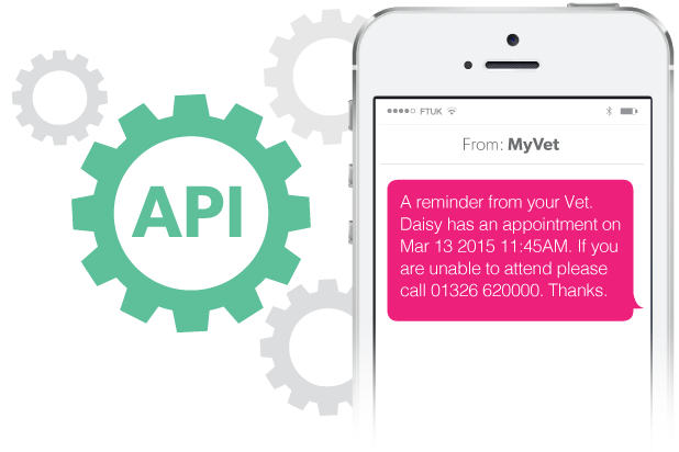 API to Phone SMS
