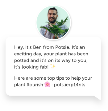 Ben from Potsie using text marketing for business